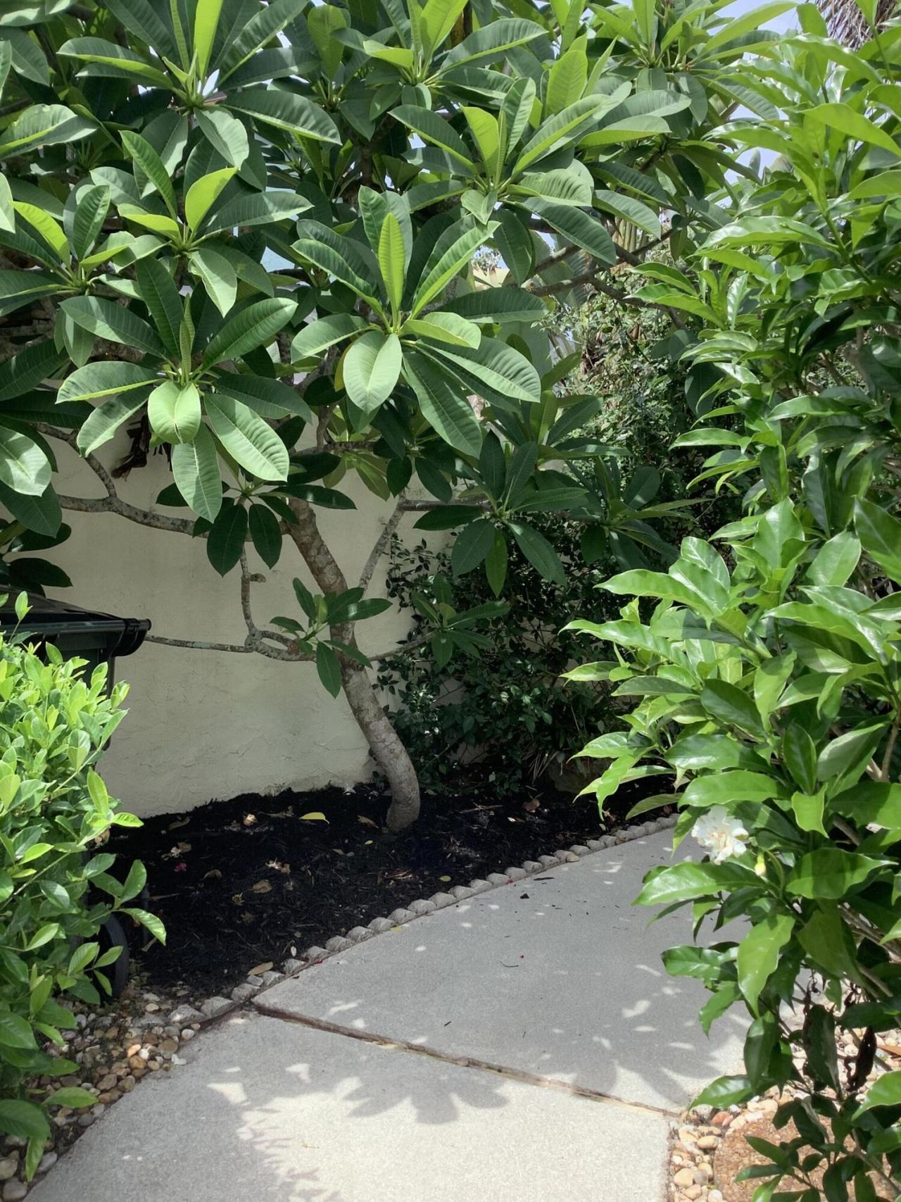 458 SW 29th Avenue, Delray Beach, FL 33445 Photo