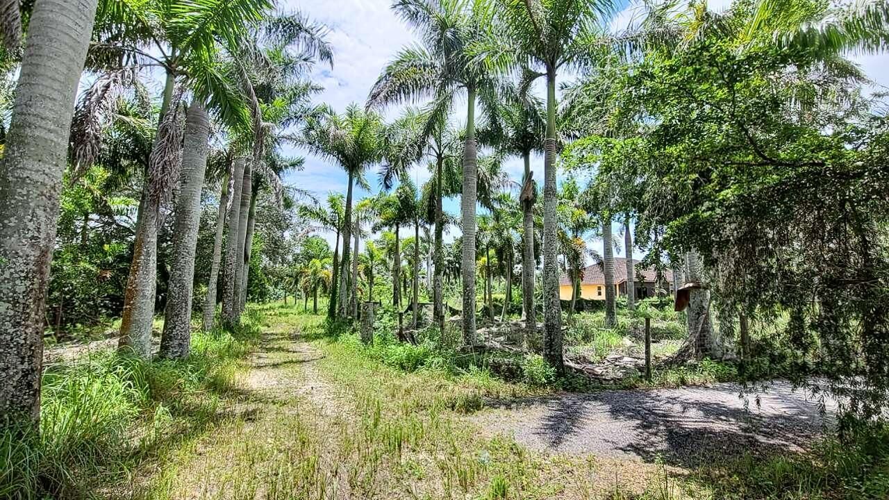 4095 Windmill Road, Loxahatchee, FL 33470 Photo