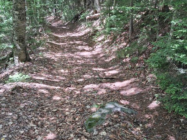 Lot 15 +37 acre Spruce Lane, Unit Lot 15, Eden, VT 05652