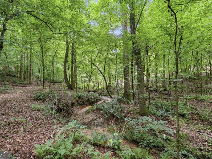 Property Image 69