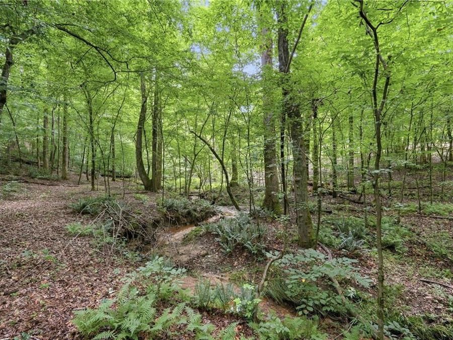 Property Image 70
