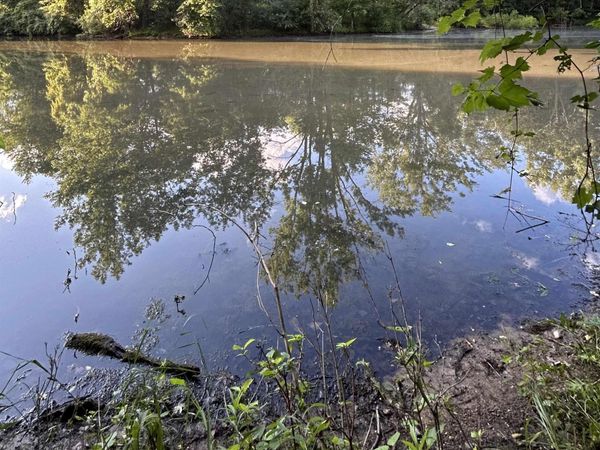 Whitetail Court, West Branch, MI 48661
