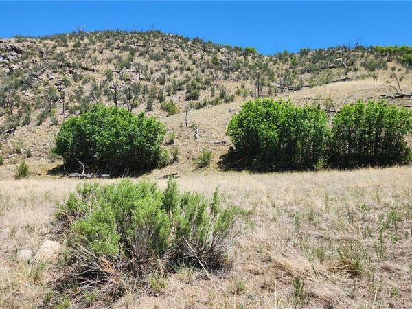 TBD L 35th Trail , Cotopaxi, CO 81223
