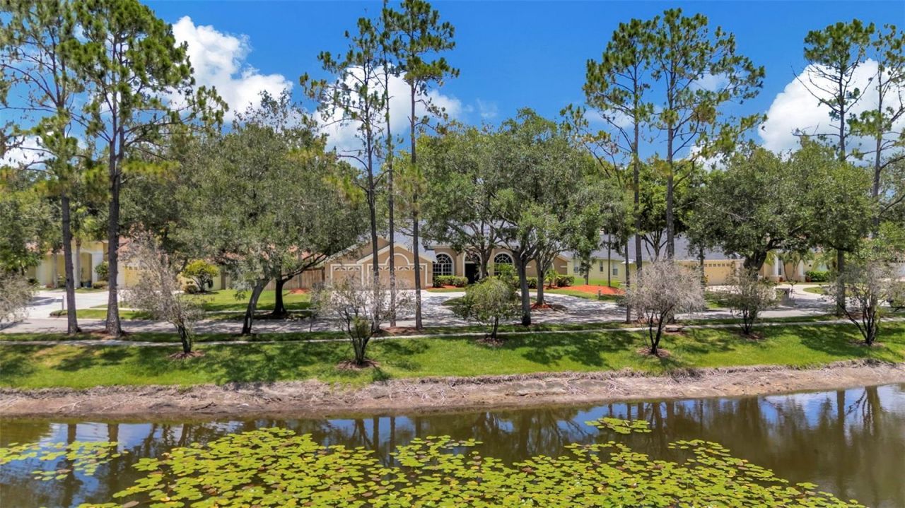 5633 Glencrest Boulevard, Tampa, FL 33625 Photo