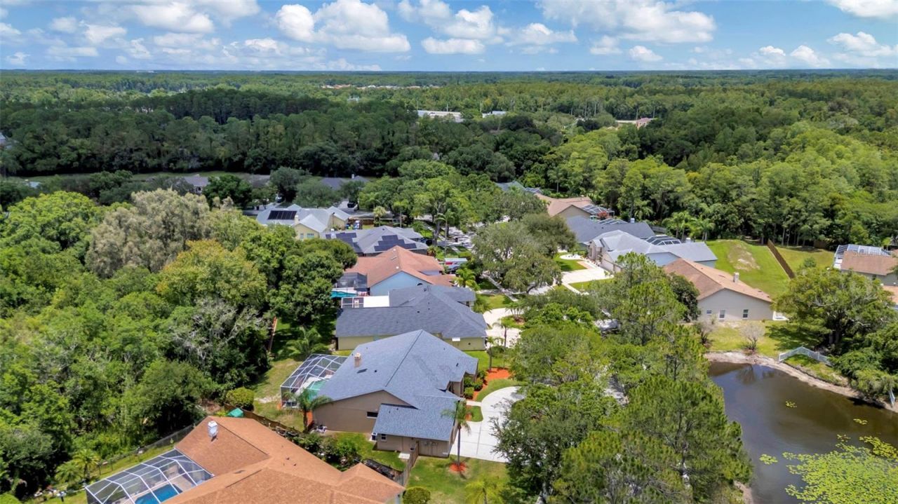 5633 Glencrest Boulevard, Tampa, FL 33625 Photo
