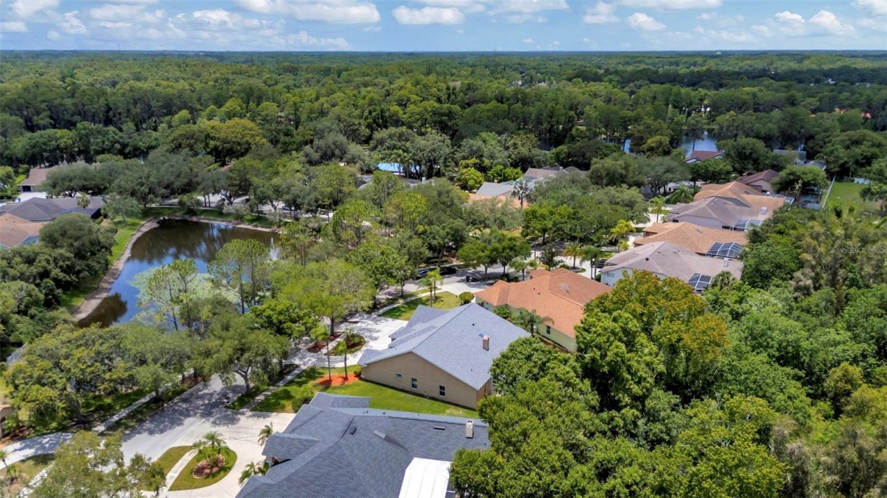5633 Glencrest Boulevard, Tampa, FL 33625 Photo