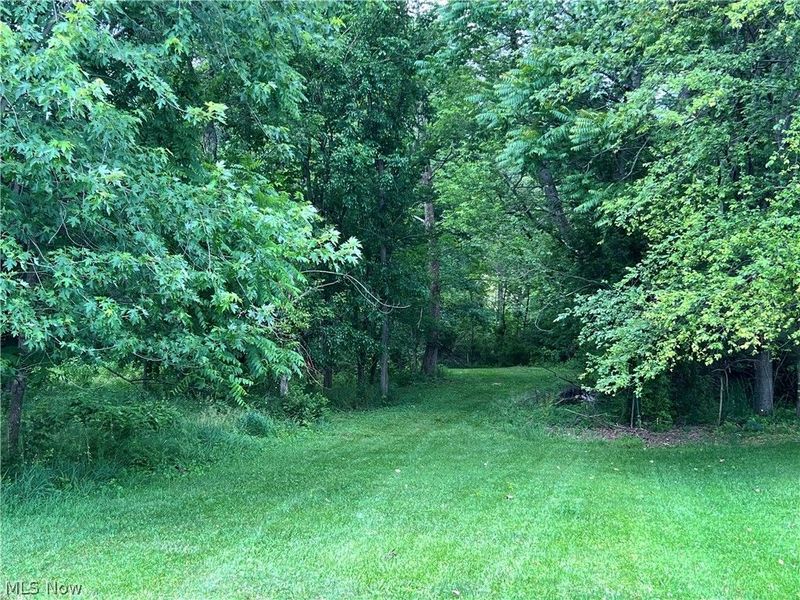 0 Snyder Drive , Loudonville, OH 44842 Photo 19