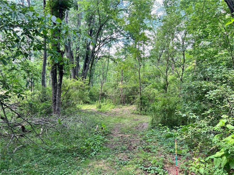 0 Snyder Drive , Loudonville, OH 44842 Photo 20