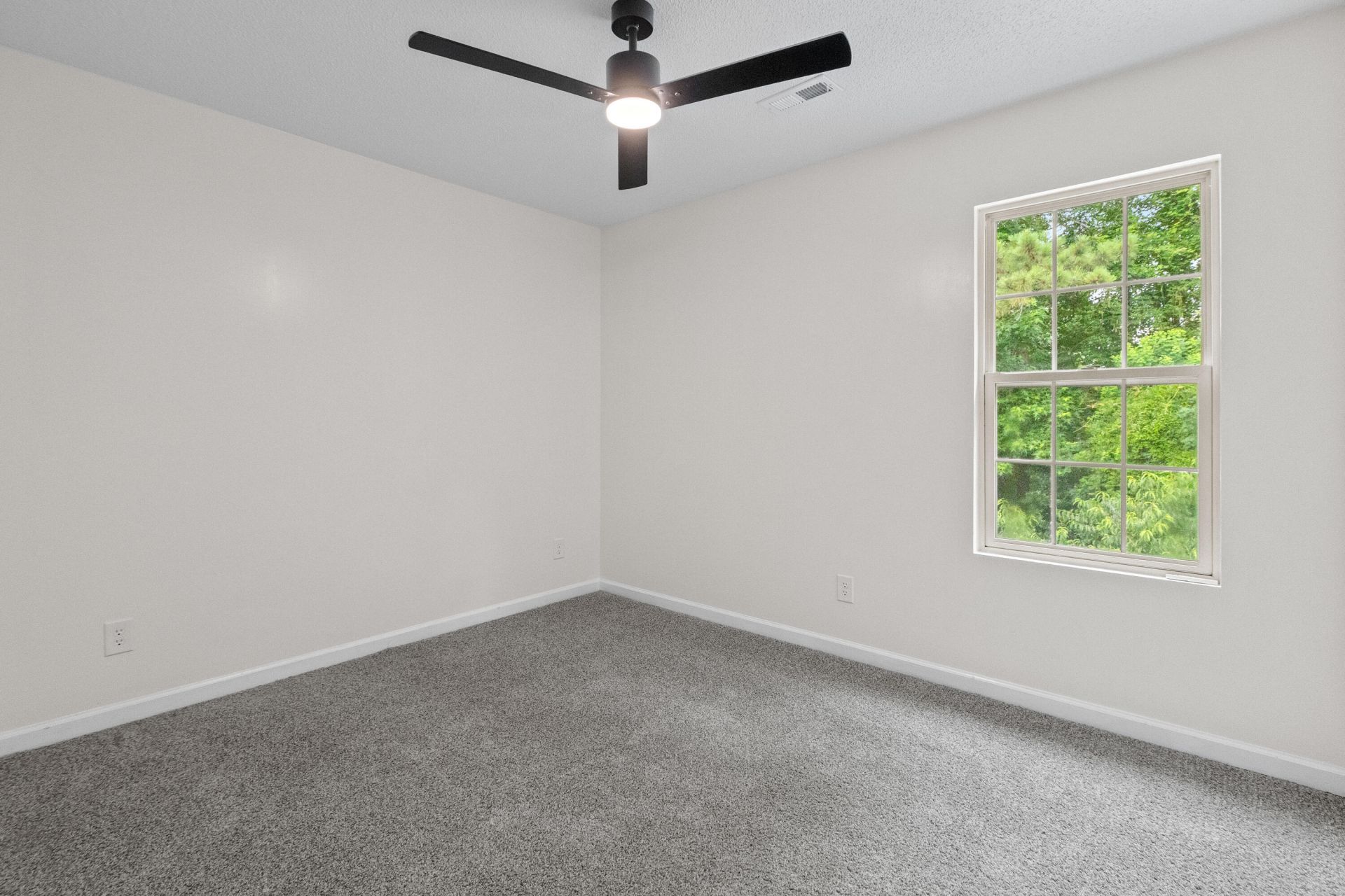 110 Lipman Street Photo 25