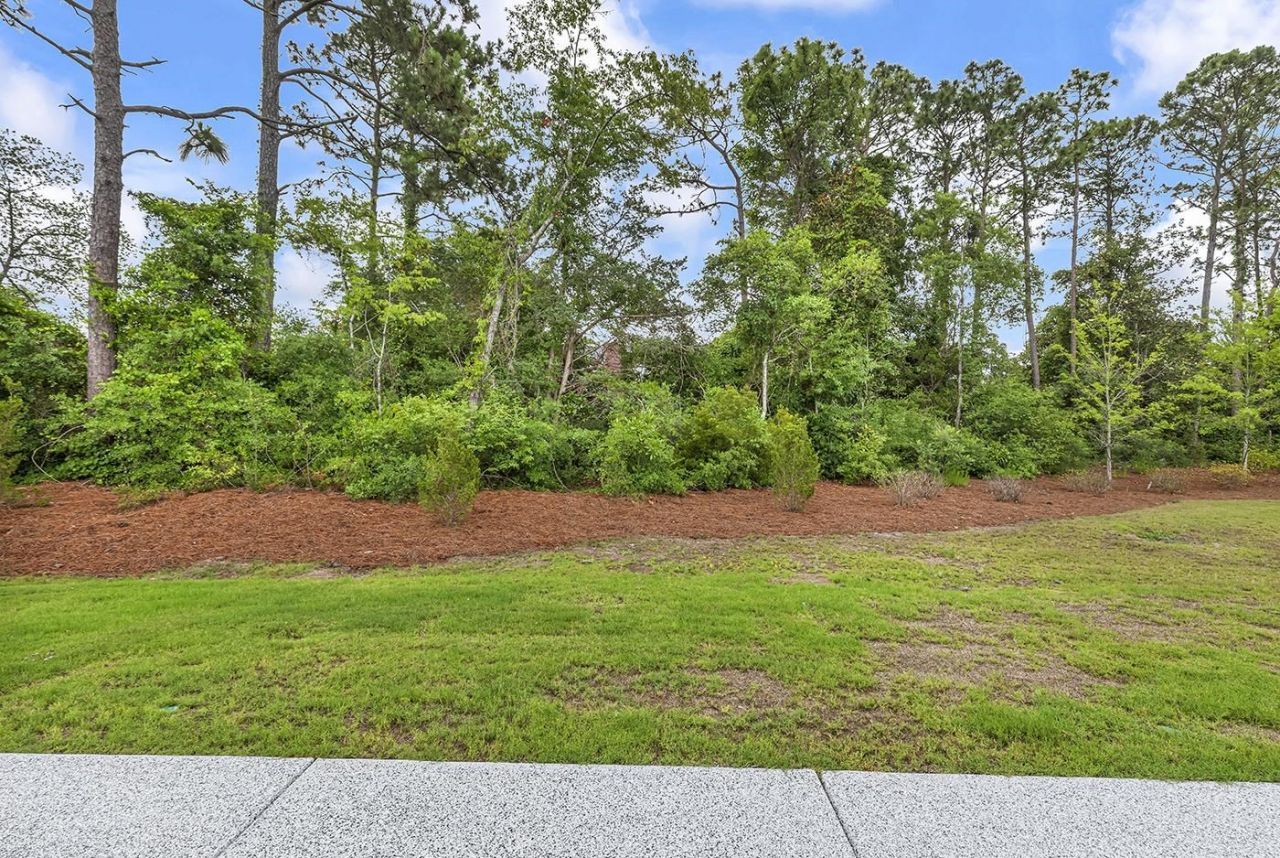 1565 Crested Iris Way  Photo 48