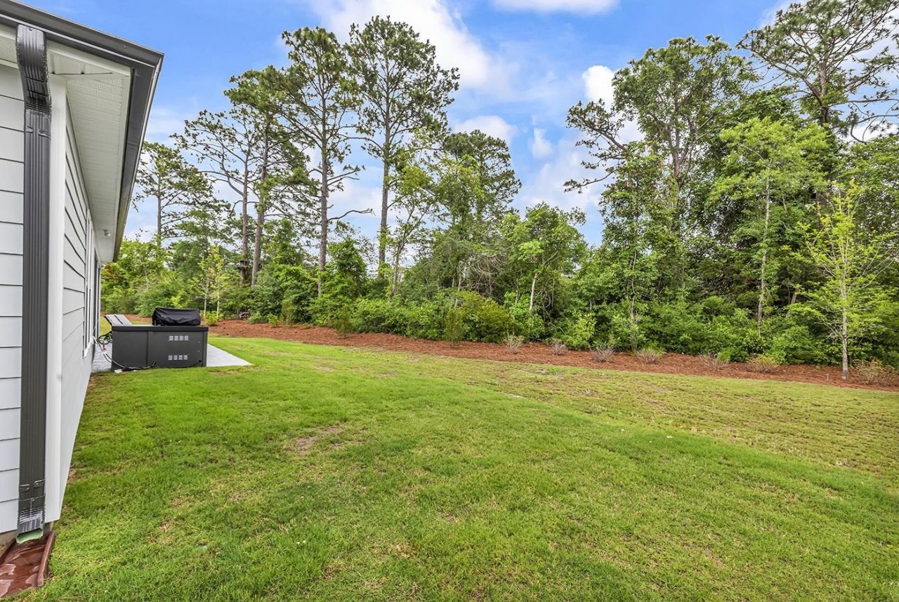 1565 Crested Iris Way  Photo 49