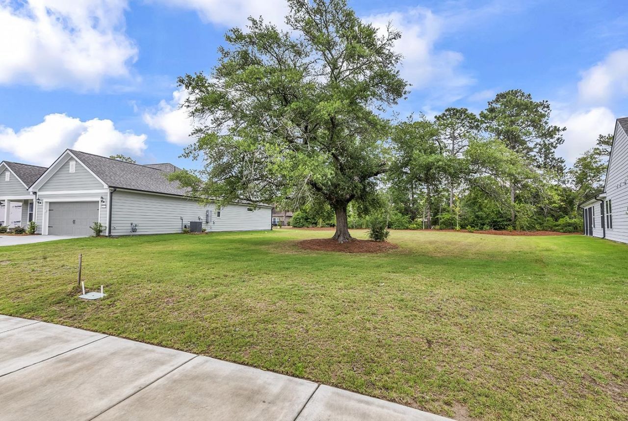 1565 Crested Iris Way  Photo 56
