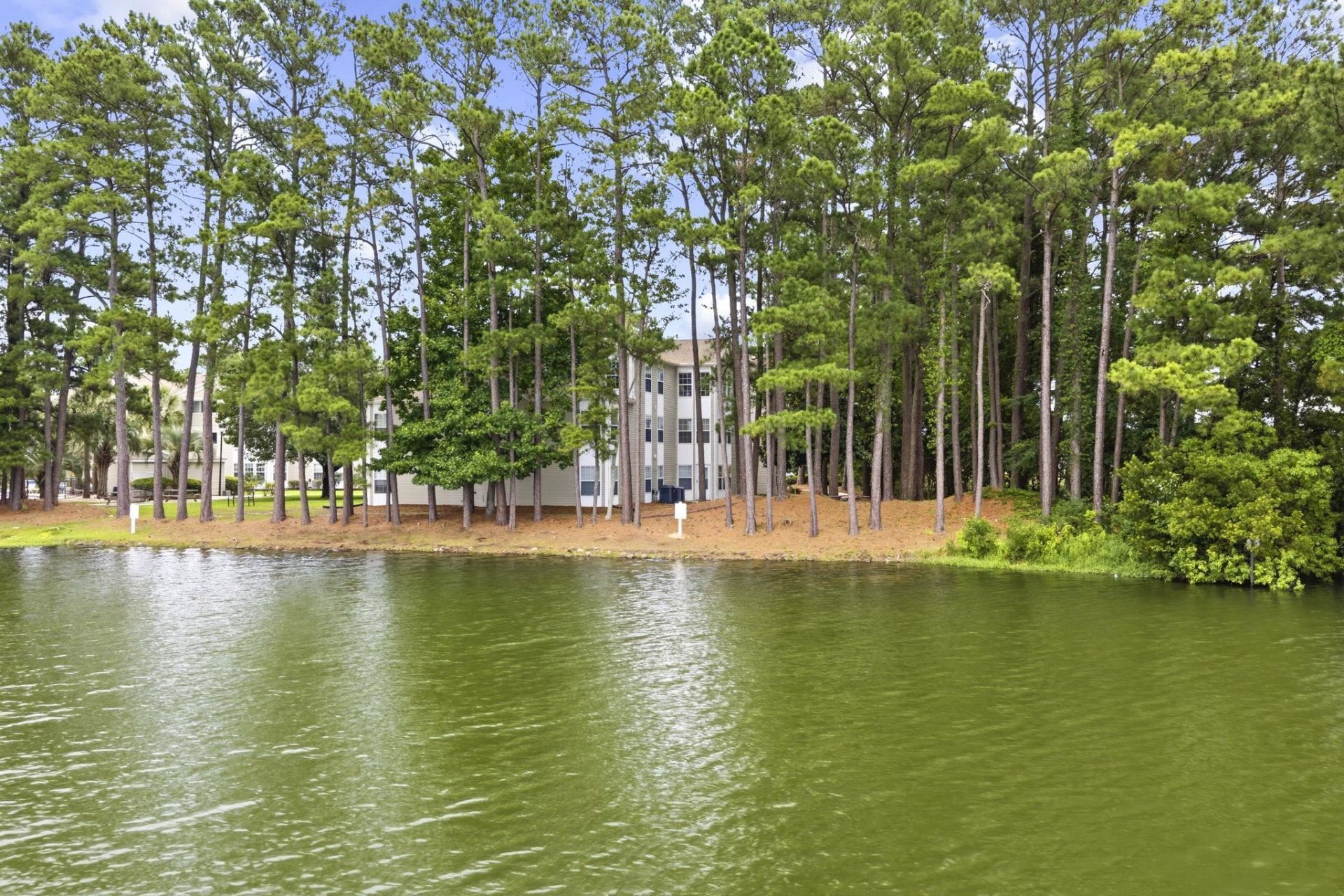 140 Spanish Oak Ct.  Photo 31