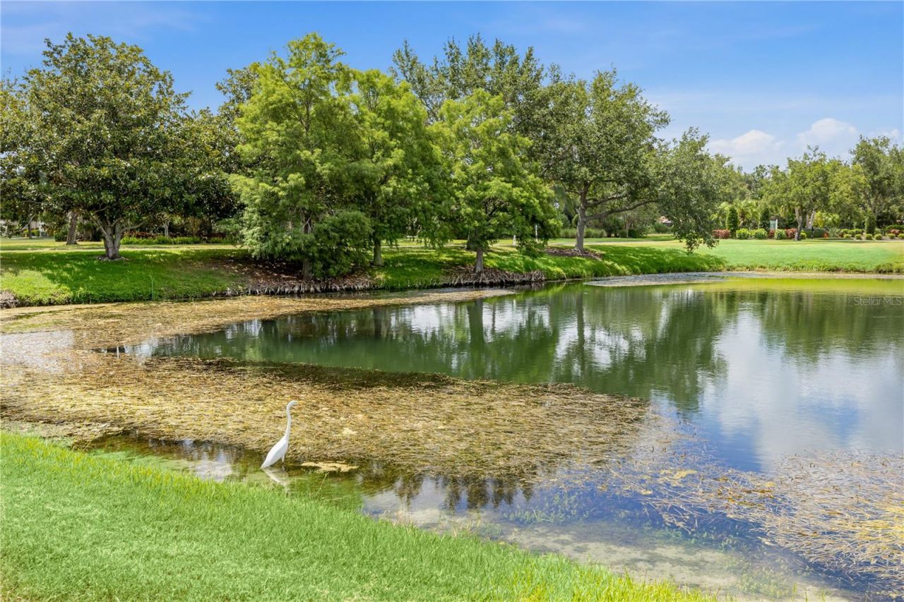 4211 Cascade Falls Drive, Sarasota, FL 34243 Photo
