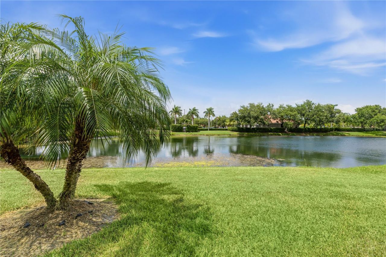 4211 Cascade Falls Drive, Sarasota, FL 34243 Photo