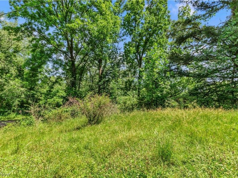 1585 egypt Road , Salem, OH 44460 Photo 13