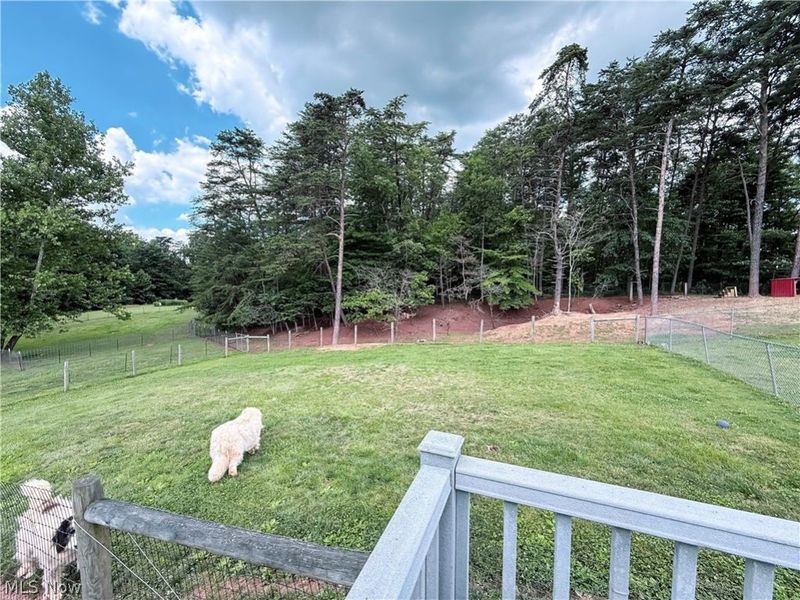 549 Boggy Hollow Road, Coolville, OH 45723 Photo 46