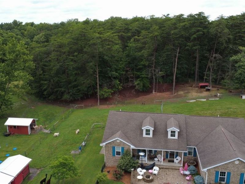 549 Boggy Hollow Road, Coolville, OH 45723 Photo 50
