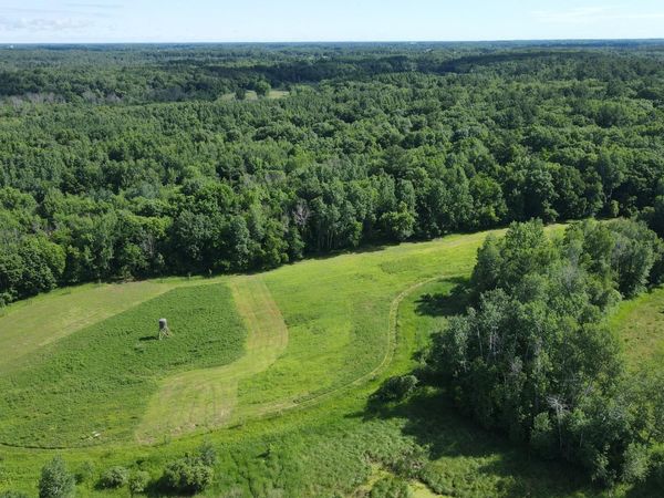 37102 Grandy Pines Road NE, Stanchfield, MN 55080