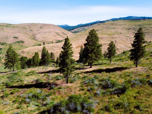 TBD Advent Gulch Rd., Cambridge, ID 83610