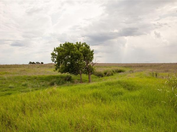 000 E 650 Road, Kingfisher, OK 73742