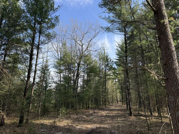 Parcel D Critter Trail, Manistee, MI 49660