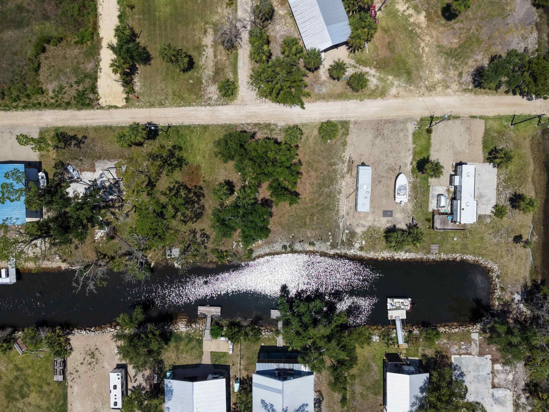 21440 Cormorant Road, Perry, FL 32348 Photo