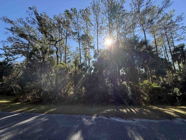 XX Hobbs Way, St Marks, FL 32355