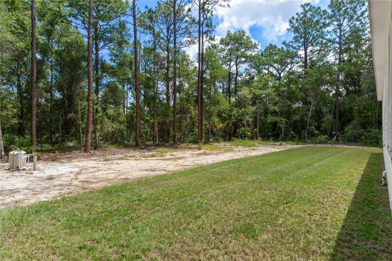 14249 E Razorbill Avenue , Weeki Wachee, FL 34614 Photo