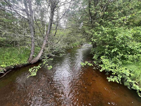 BIELAK ROAD, Wausaukee, WI 54177