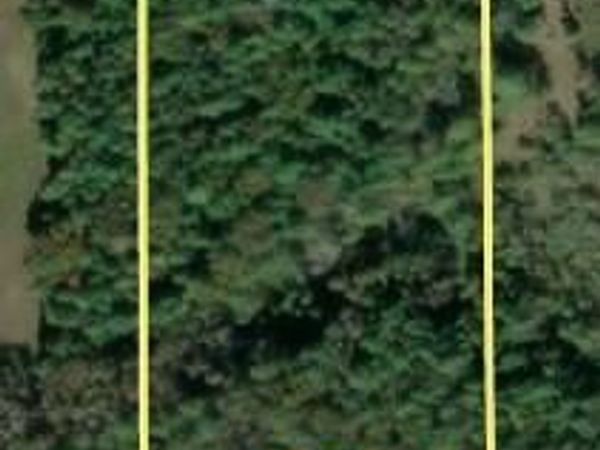 10.17 AC Hannigan Road, Beaver Island, MI 49782