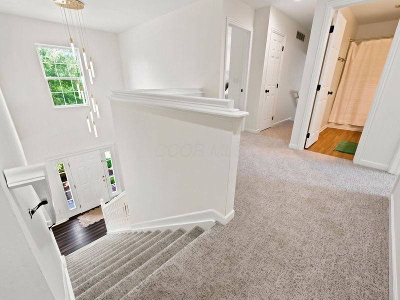 4952 Alston Grove Drive, Westerville, OH 43082 Photo 43