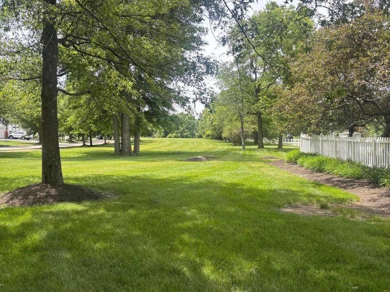 4952 Alston Grove Drive, Westerville, OH 43082 Photo 46