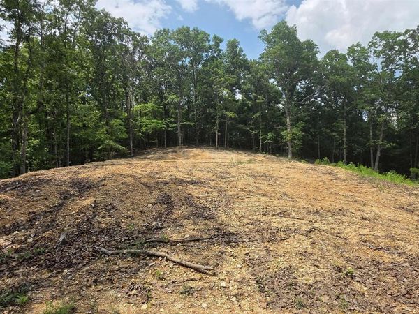 3.08ac Red Oak Drive, Valley Head, AL 35989