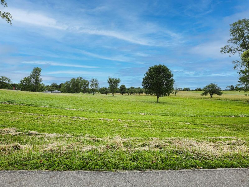 0 Possum Street, Unit Lot 5, Mount Vernon, OH 43050 Photo 8