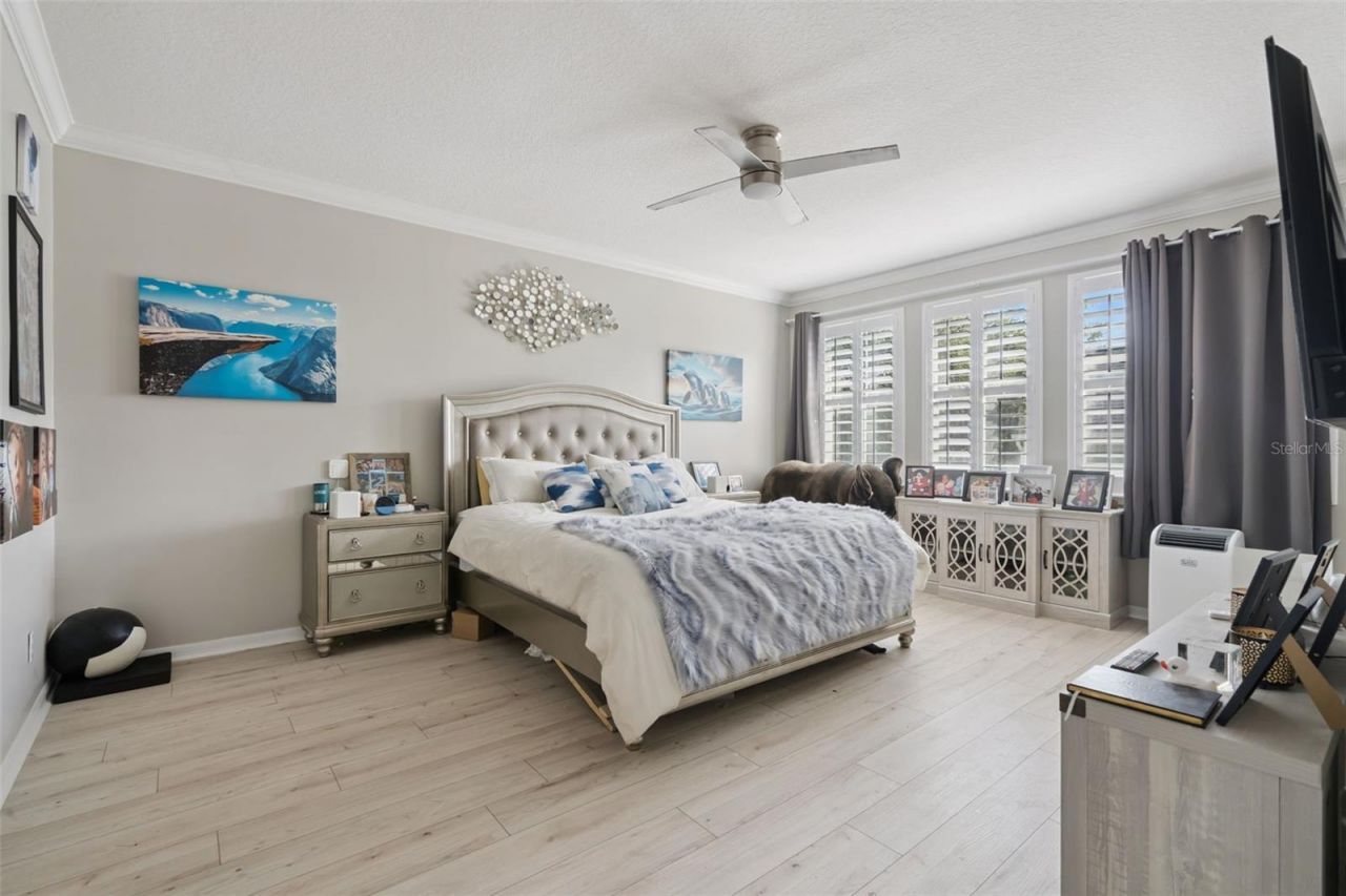 928 Jasmine Street, Celebration, FL 34747 Photo
