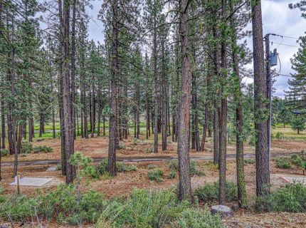 000 E Sierra Avenue, Portola, CA 96122 Photo
