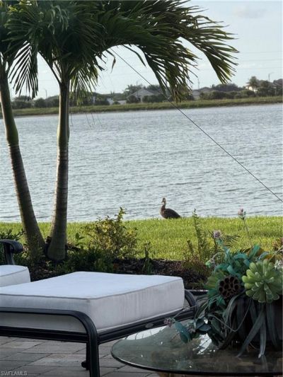 847 Stonewater Lake Ter W, Cape Coral, FL 33993 Photo