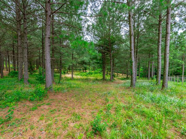 0 Bobcat Trail, Jasper, TN 37347