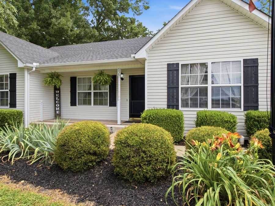 Property Image 6