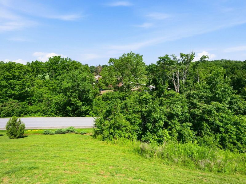 1654 Saint Annes Court, Florence, KY 41042 Photo 39