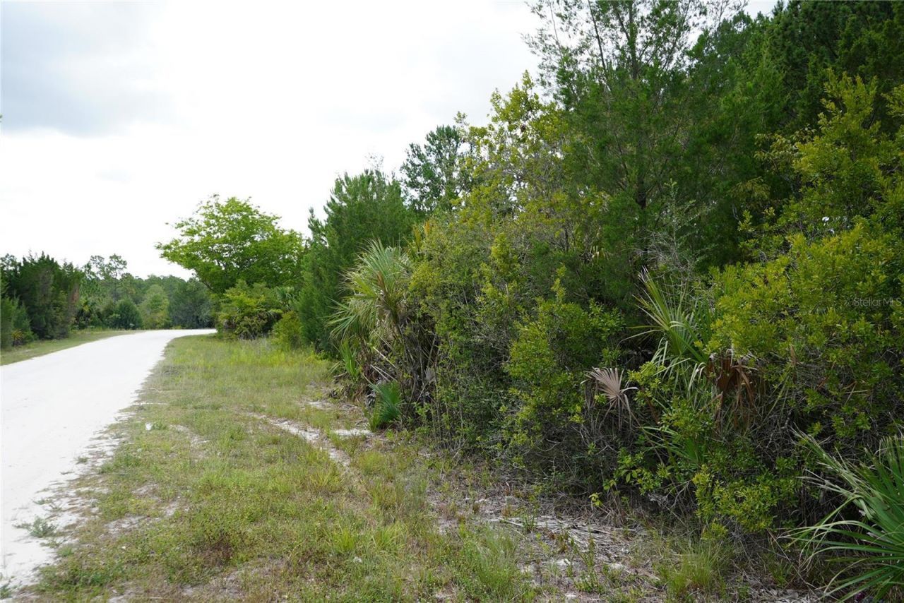 18284 Commercial Way, Weeki Wachee, FL 34614 Photo