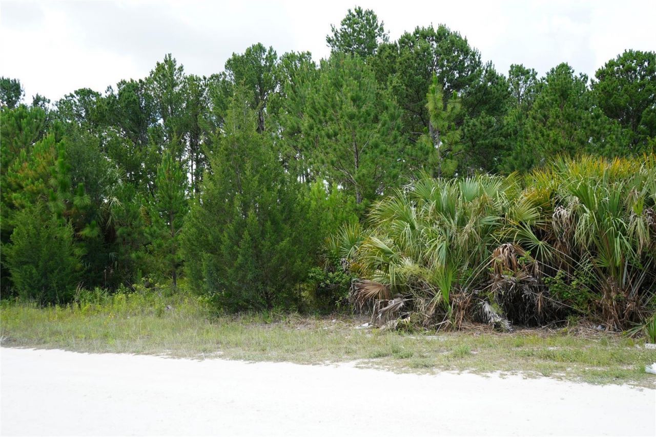 18284 Commercial Way, Weeki Wachee, FL 34614 Photo