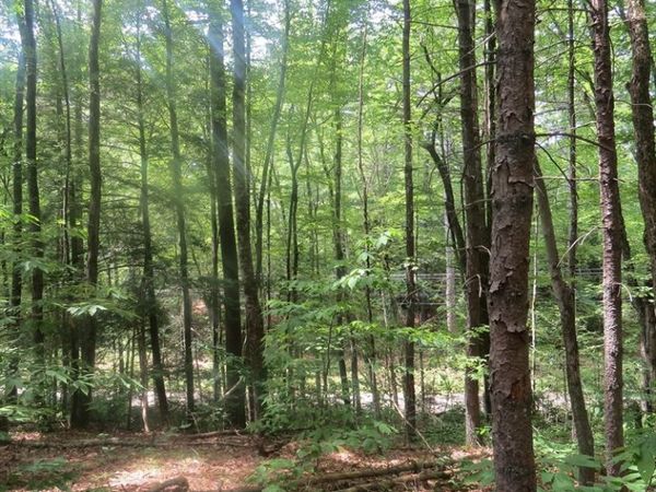 Lot 1 Pratt Corner Road, Leverett, MA 01054