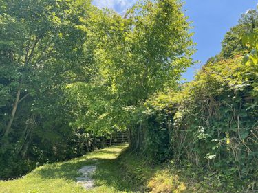 6758 Highway 66 , Arjay, KY 40902