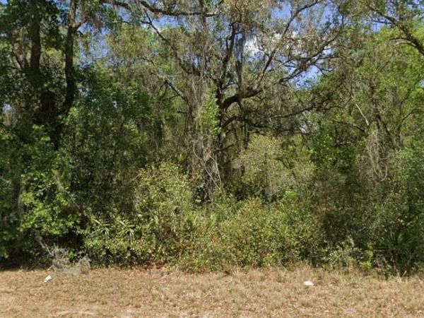 21175 SE 142ND LANE , UMATILLA, FL 32784