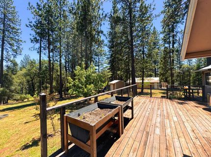 6425 Quartz Mine Rd, Mountain Ranch, CA 95246 Photo