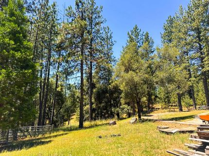 6425 Quartz Mine Rd, Mountain Ranch, CA 95246 Photo
