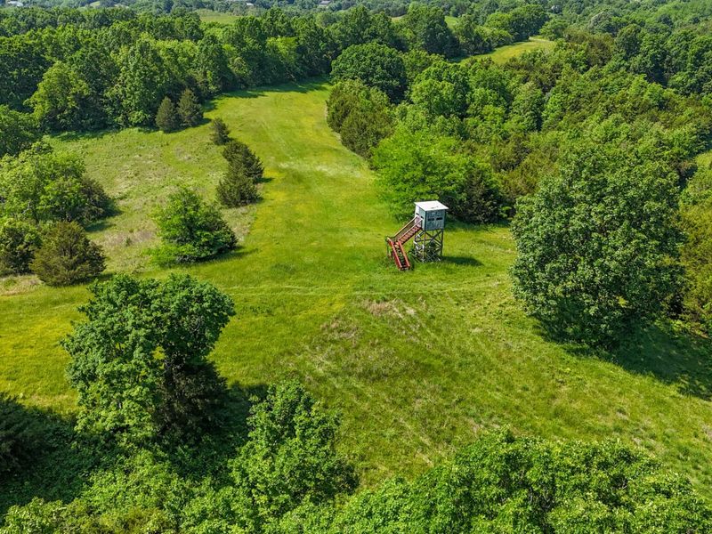 2604 Boyers Chapel Road, Sadieville, KY 40370 Photo 15