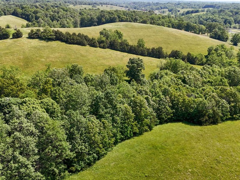 2604 Boyers Chapel Road, Sadieville, KY 40370 Photo 3